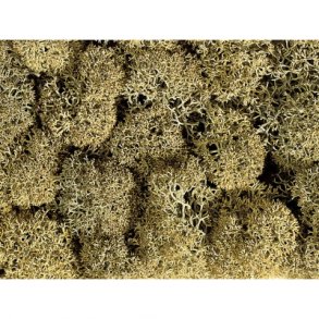 08600 NOCH Islandsk mos. 35 gram.