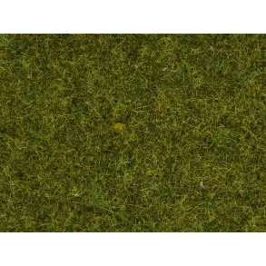 08361 NOCH. Strgrs 20 g. 