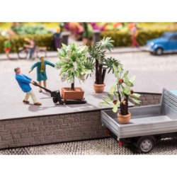 14023 NOCH Midelhavsplanter. H0