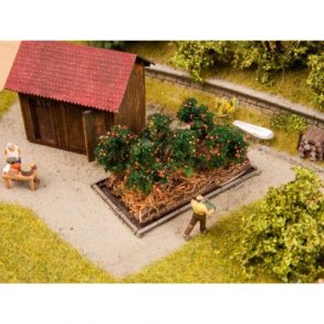 13215 NOCH Tomatplanter. H0.