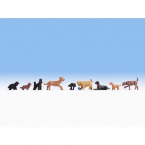 15719 Noch 9 forskellige hunde. H0