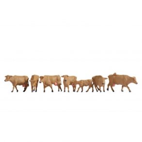 15727 NOCH. Brune ker. H0.