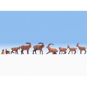 15742 Noch Bjerg dyr. H0