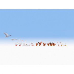 15772 NOCH Hns og gs. H0