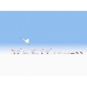 15774 NOCH Svaner og nder. H0