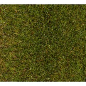 170771 FALLER. Forrs eng. 6 mm 30 g.