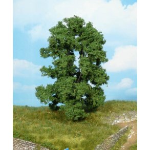 1906 HEKI Asketr. 15 cm