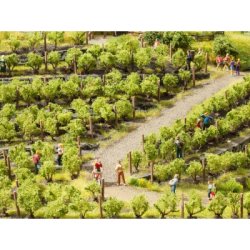 21540 NOCH 24 stk. Vin planter. 2,2 cm H0.