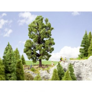 21802 NOCH Kastanietr. H0