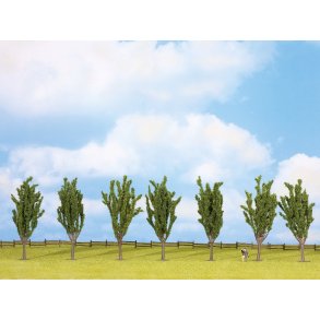 25098 NOCH. Popler 7 stk. af 12 cm hjde.