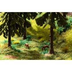 60772 NOCH. Vegetations start st "Skovbunden"