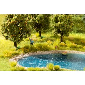 60774 NOCH. Vegetations start st 