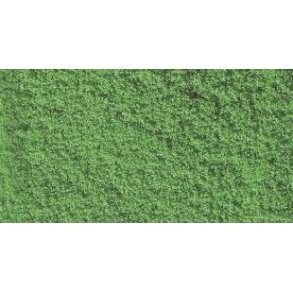 07202 NOCH Flockage Lys grn.