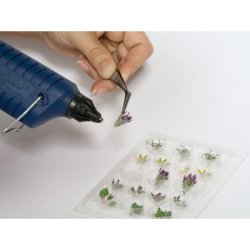 14052 NOCH 5 forskellige haveplanter.