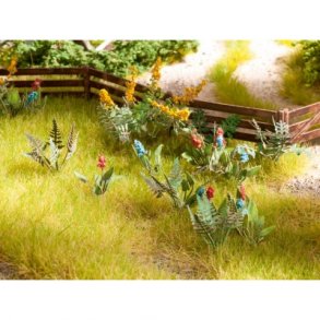 14056 NOCH 5 forskellige haveplanter. 