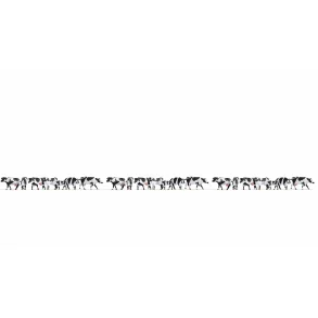 16164 NOCH. XL st. 21 Sortbrogede ker. H0. 