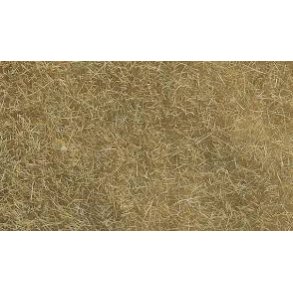 07101 Noch. Grs i hst farve. 6 mm Beige farve.